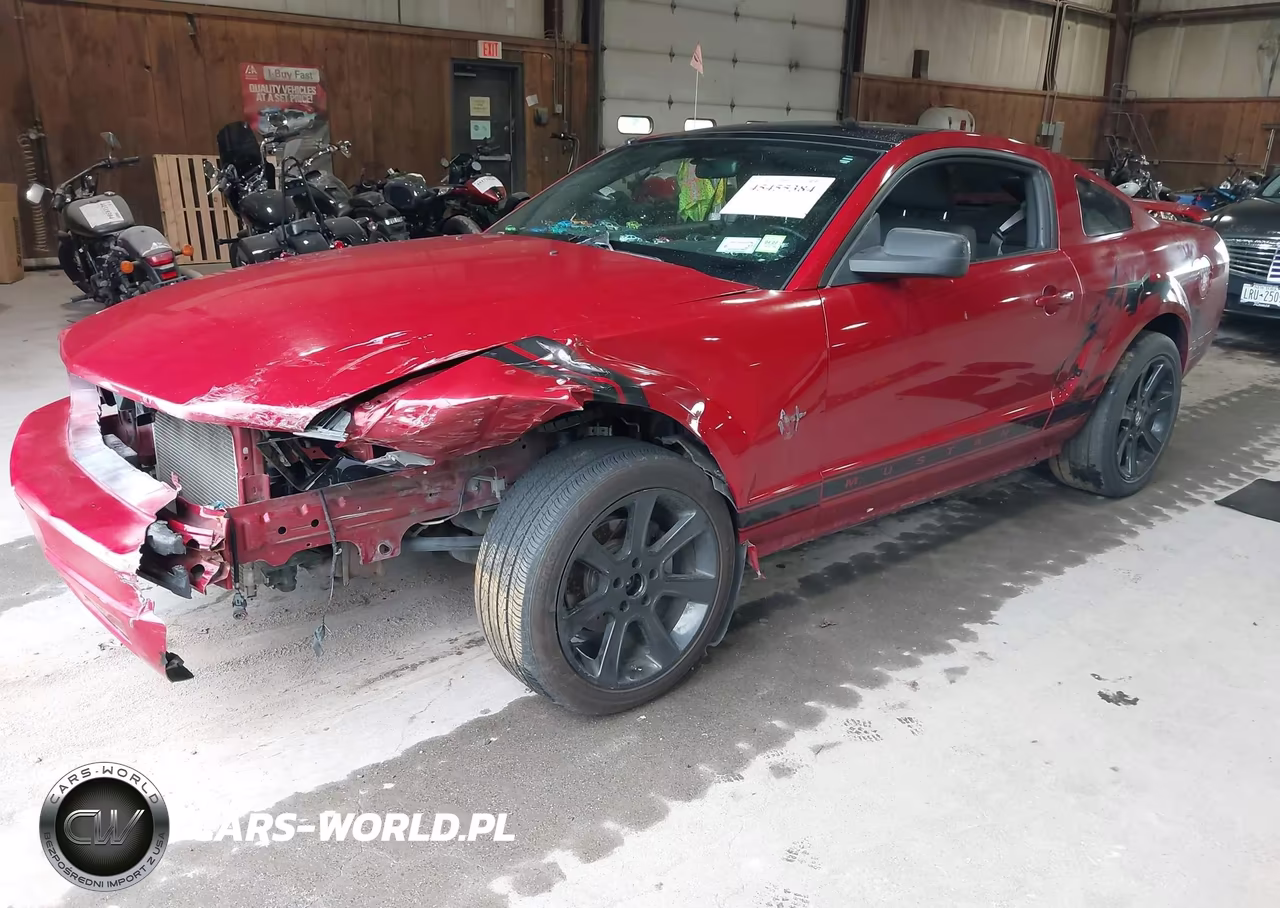 2009 Ford Mustang V6-V6 Premium VIN:1ZVHT80N195114297 - 2