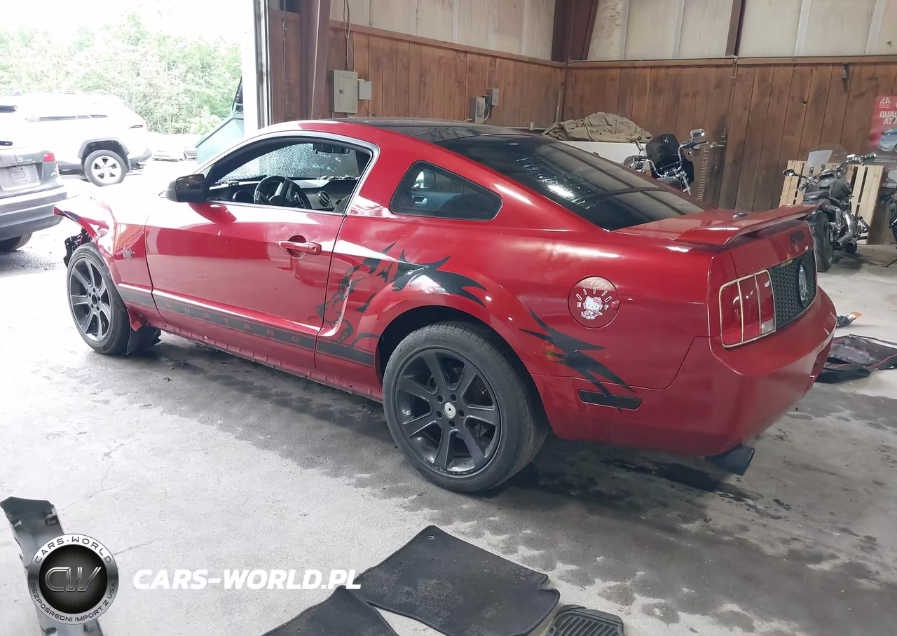 2009 Ford Mustang V6-V6 Premium VIN:1ZVHT80N195114297 - 3