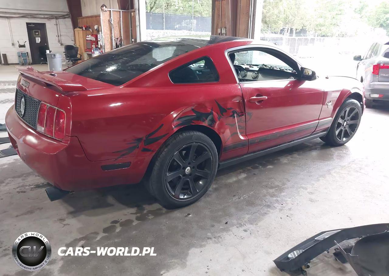 2009 Ford Mustang V6-V6 Premium VIN:1ZVHT80N195114297 - 4
