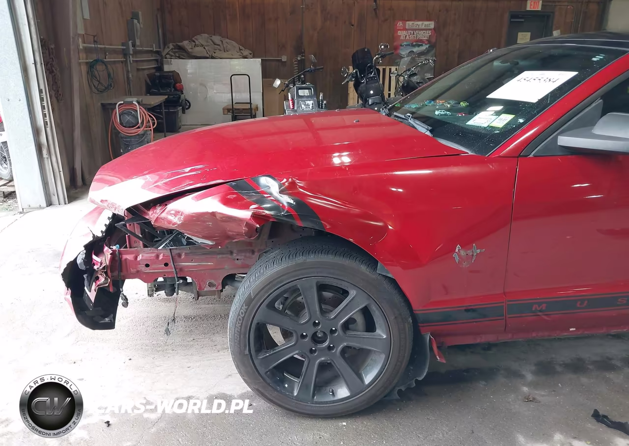 2009 Ford Mustang V6-V6 Premium VIN:1ZVHT80N195114297 - 6