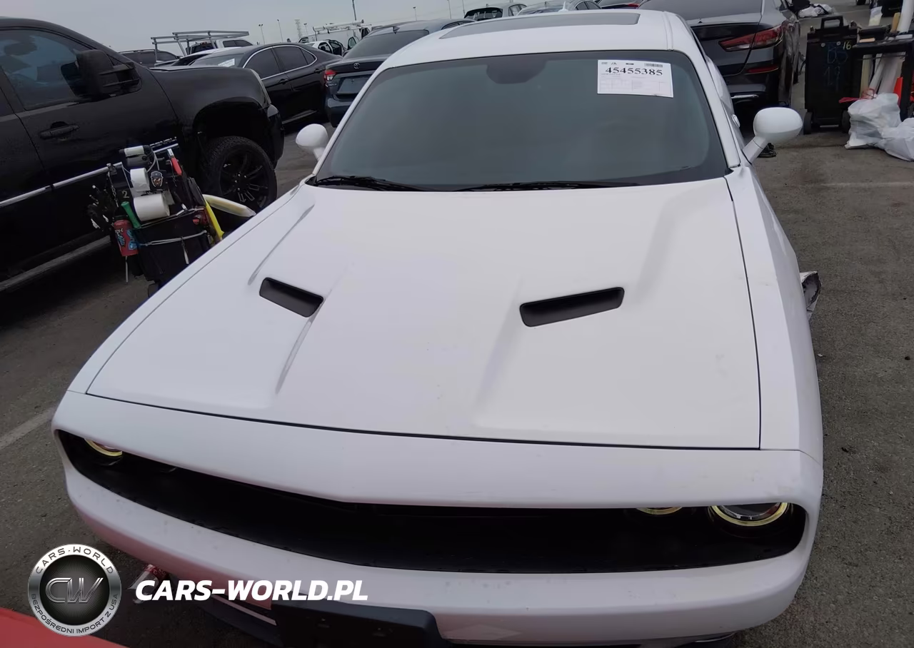 2019 Dodge Challenger Sxt VIN:2C3CDZAGXKH503359 - 12