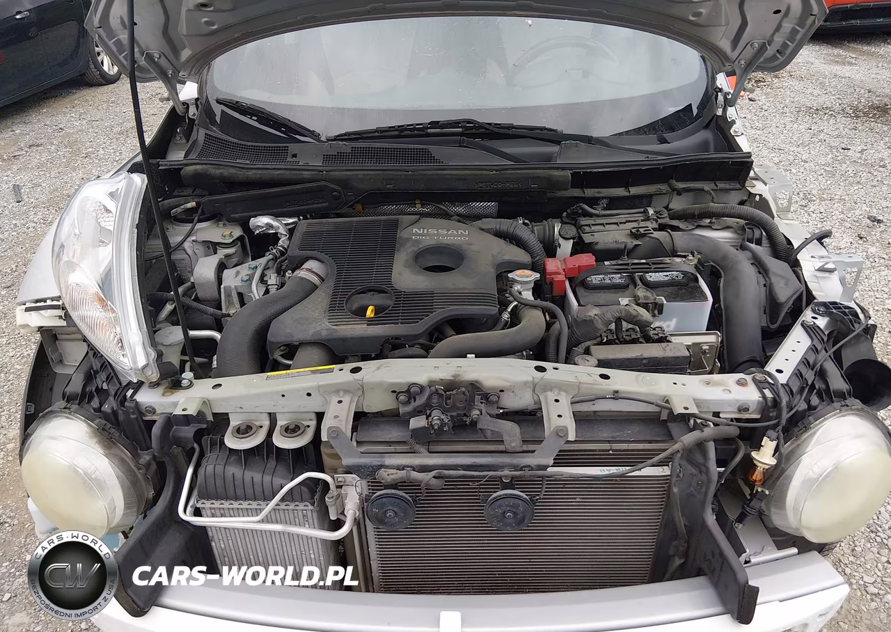 2013 Nissan Juke Sv VIN:JN8AF5MV7DT205202 - 10