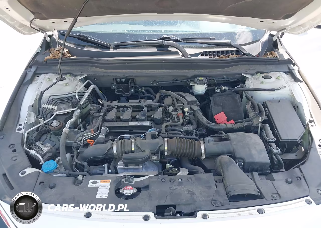 2019 Honda Accord Lx VIN:1HGCV1F15KA073349 - 10