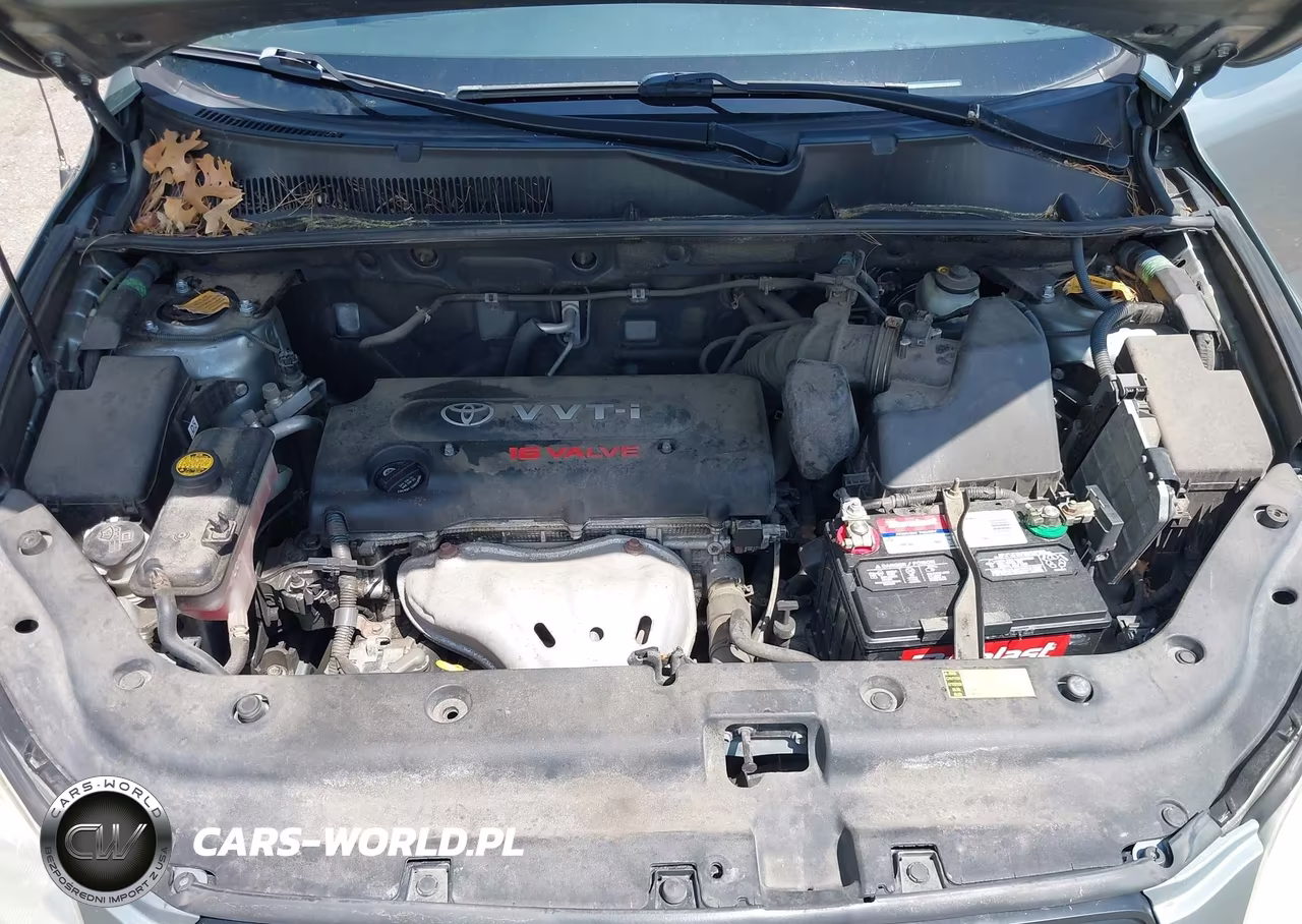 2008 Toyota Rav4 VIN:JTMZD33V085080189 - 10