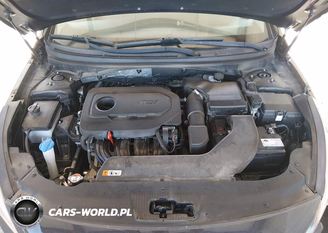 2016 Hyundai Sonata Se VIN:5NPE24AF8GH277812 - 10