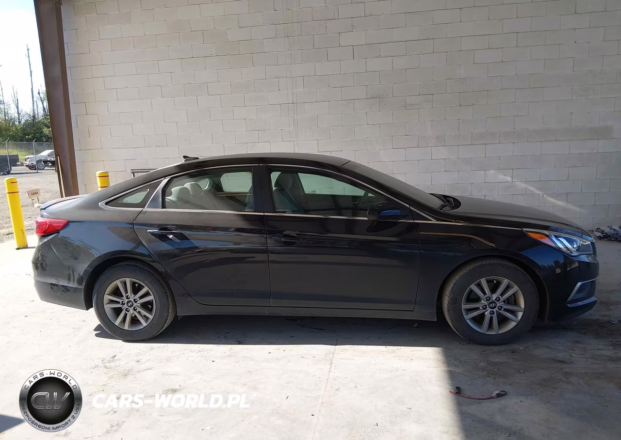 2016 Hyundai Sonata Se VIN:5NPE24AF8GH277812 - 13
