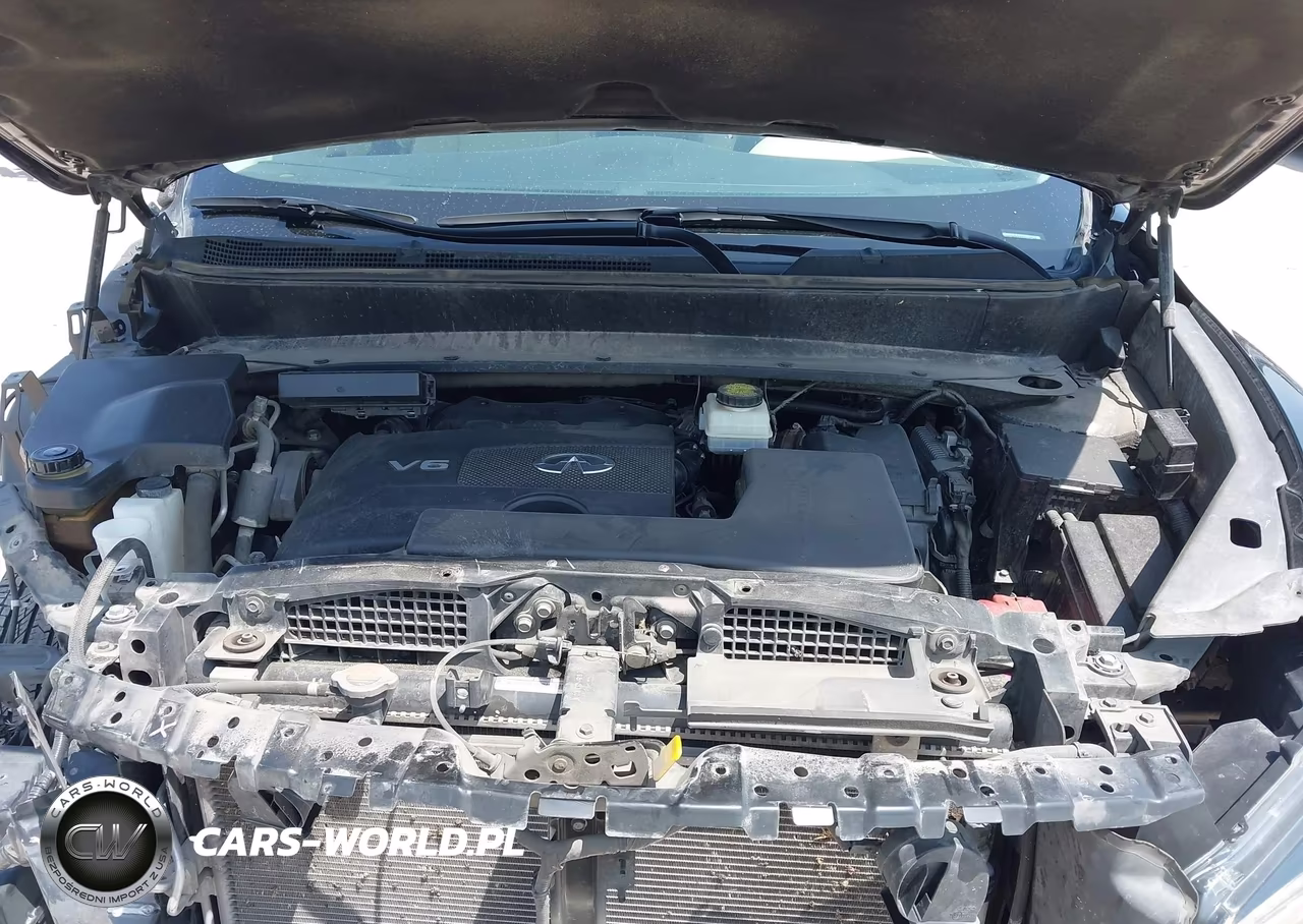 2019 Infiniti Qx60 Pure VIN:5N1DL0MN0KC525409 - 10