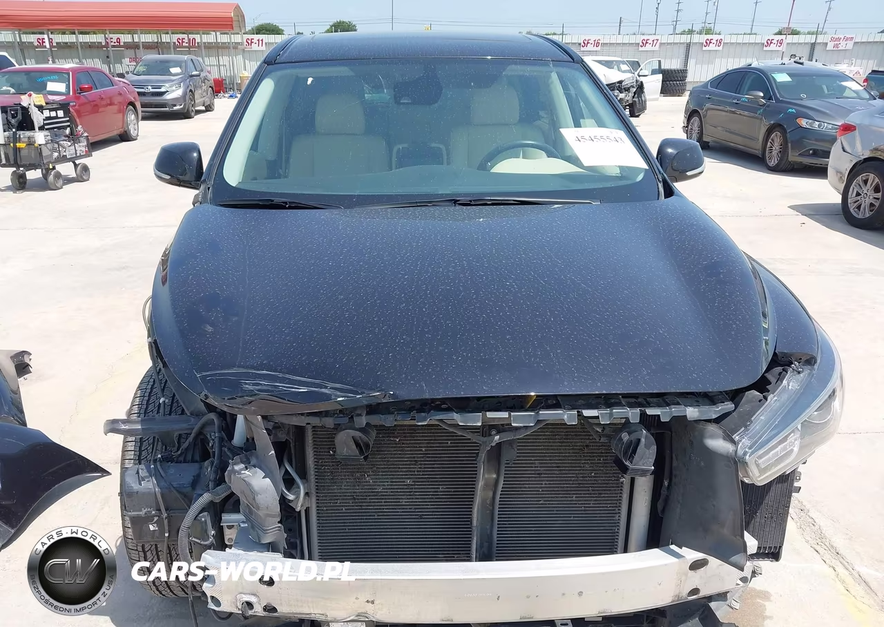 2019 Infiniti Qx60 Pure VIN:5N1DL0MN0KC525409 - 13