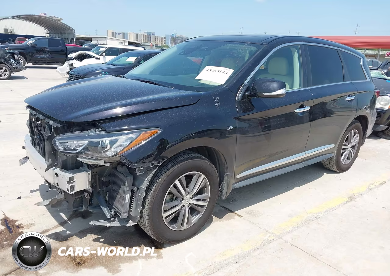 2019 Infiniti Qx60 Pure VIN:5N1DL0MN0KC525409 - 2
