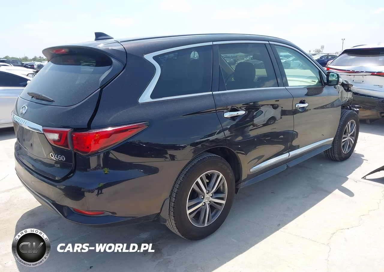 2019 Infiniti Qx60 Pure VIN:5N1DL0MN0KC525409 - 4