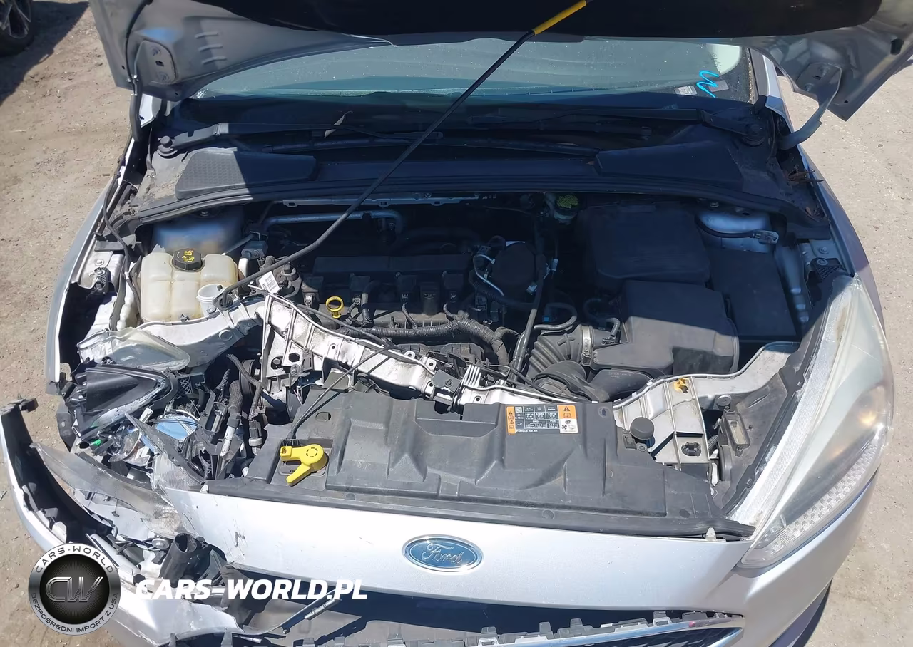 2015 Ford Focus Se VIN:1FADP3K25FL281979 - 10
