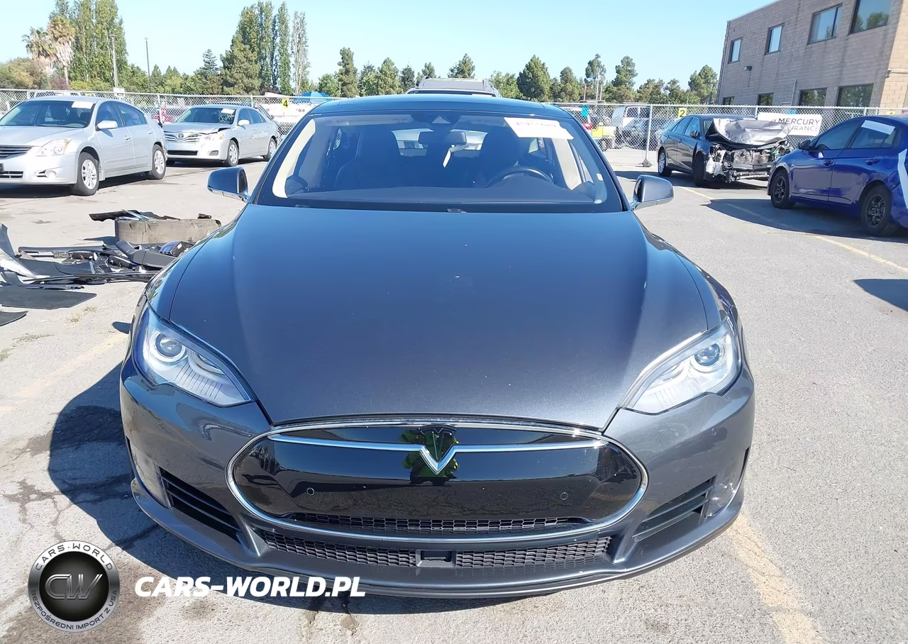2016 Tesla Model S 60D-70D-75D-85D-90D VIN:5YJSA1E21GF129690 - 13