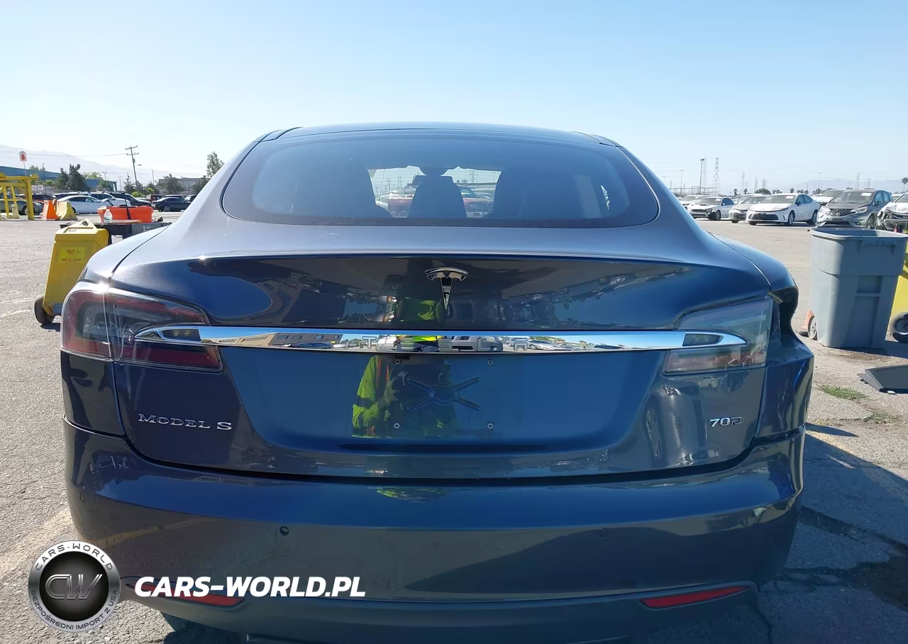 2016 Tesla Model S 60D-70D-75D-85D-90D VIN:5YJSA1E21GF129690 - 17