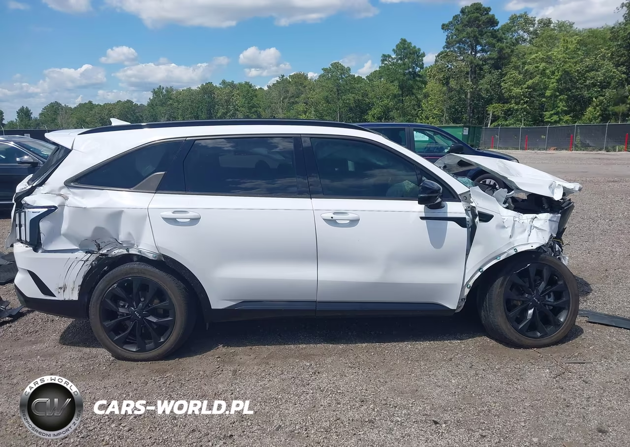 2023 Kia Sorento Sx Prestige VIN:5XYRKDLF4PG165739 - 13