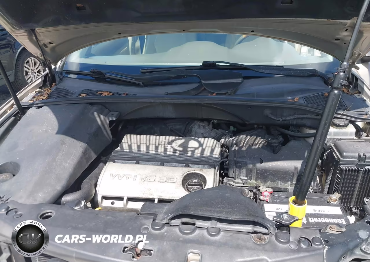 2004 Lexus Rx 330 VIN:JTJHA31U540053055 - 10