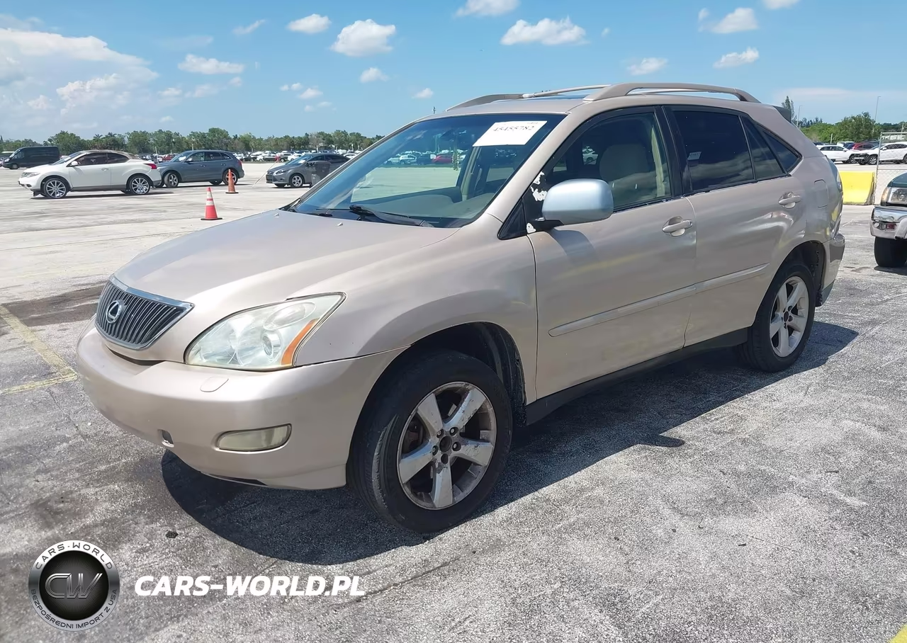 2004 Lexus Rx 330 VIN:JTJHA31U540053055 - 2
