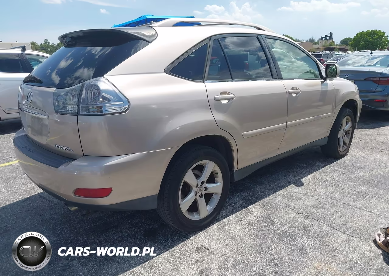 2004 Lexus Rx 330 VIN:JTJHA31U540053055 - 4