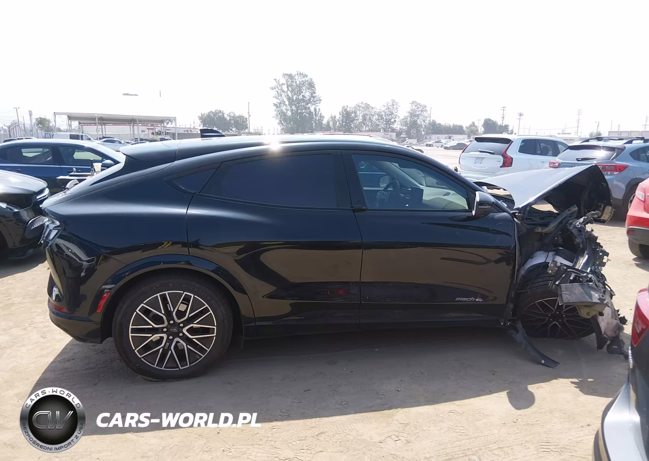 2024 Ford Mustang Mach-E Premium VIN:3FMTK3SU5RMA11459 - 13