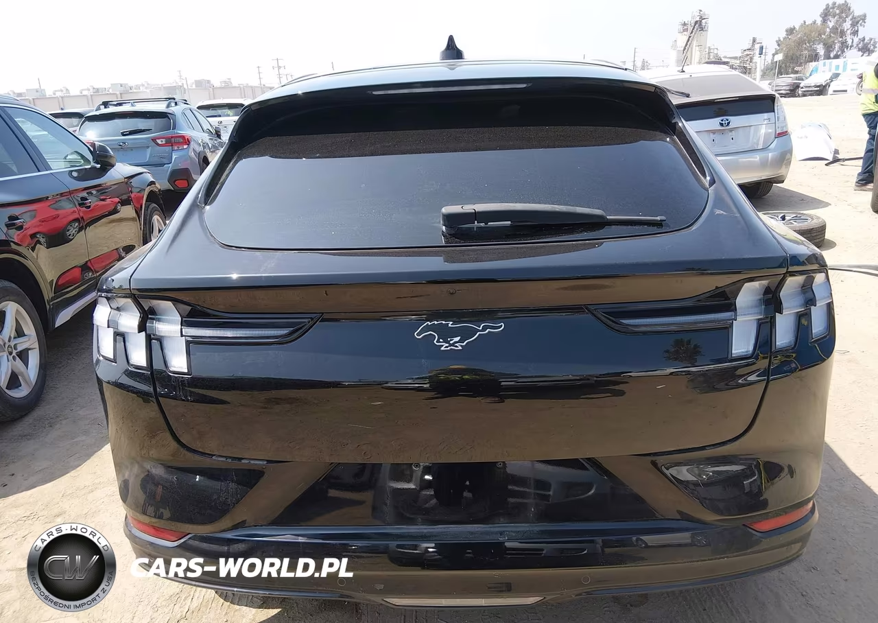 2024 Ford Mustang Mach-E Premium VIN:3FMTK3SU5RMA11459 - 16