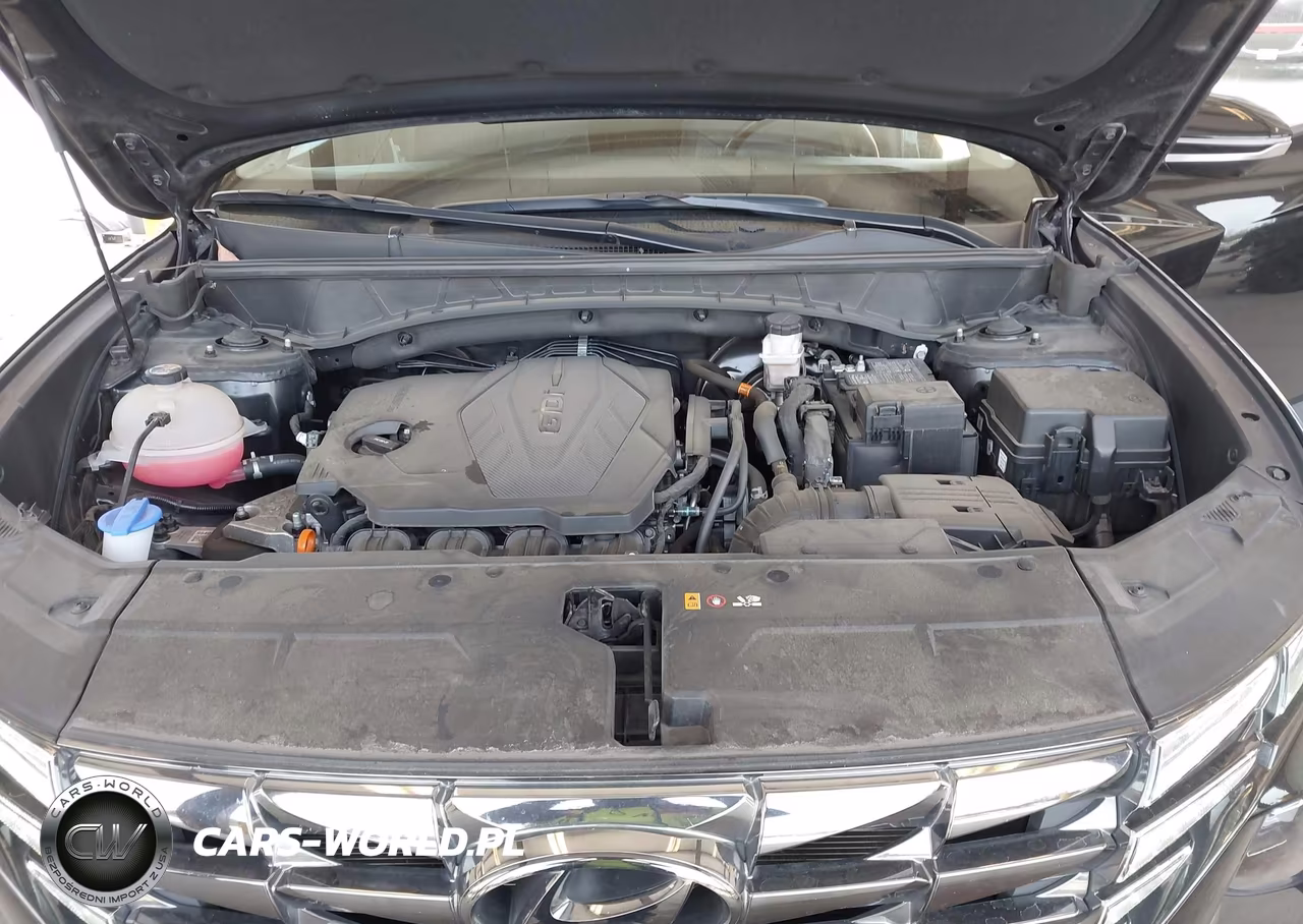 2022 Hyundai Tucson Limited VIN:5NMJECAE8NH009716 - 10