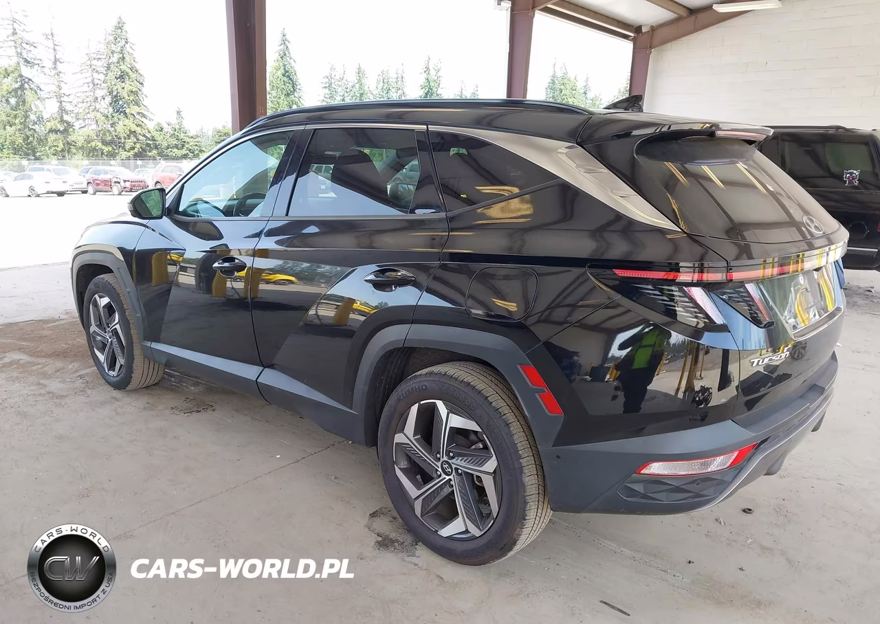 2022 Hyundai Tucson Limited VIN:5NMJECAE8NH009716 - 3