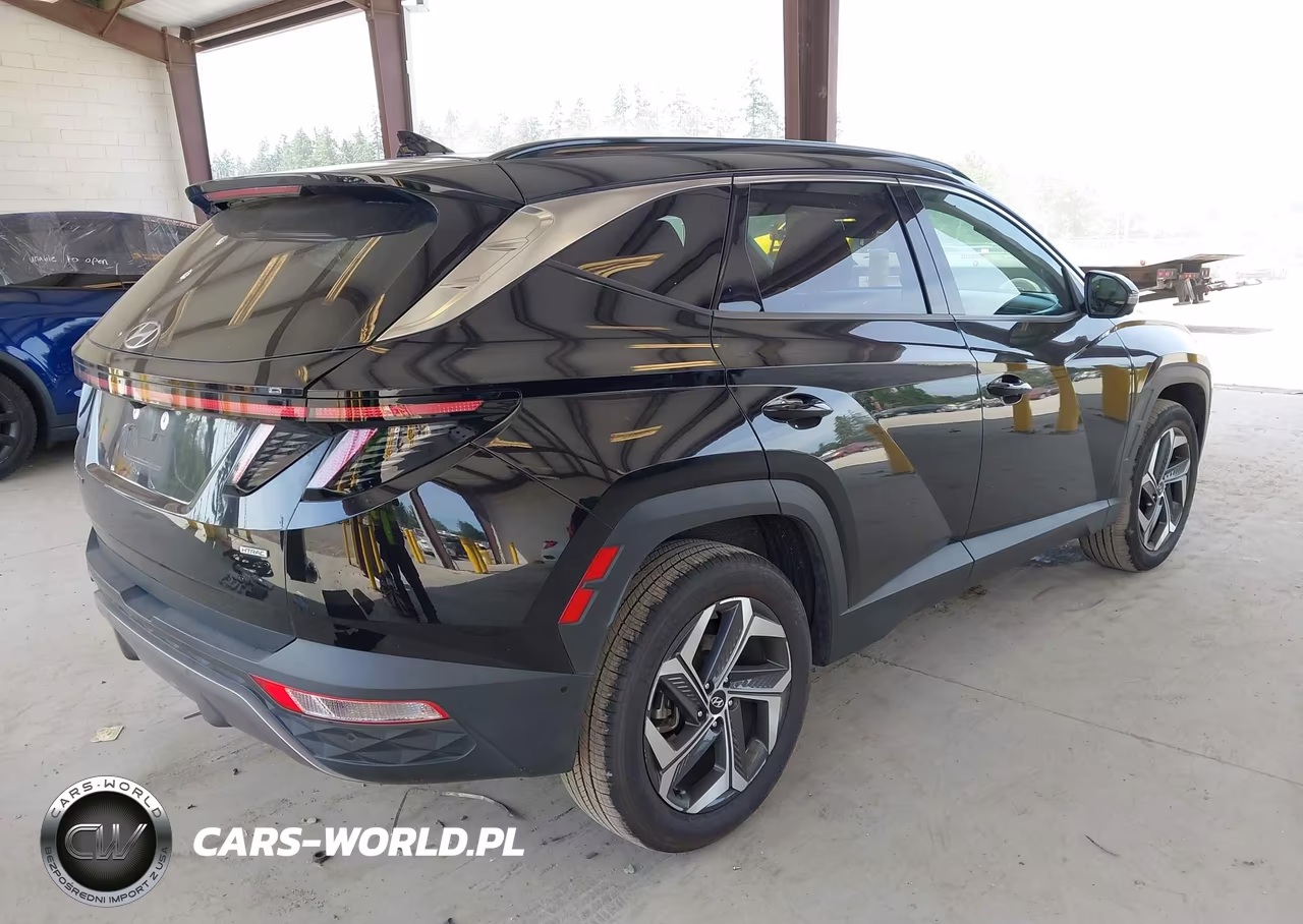 2022 Hyundai Tucson Limited VIN:5NMJECAE8NH009716 - 4