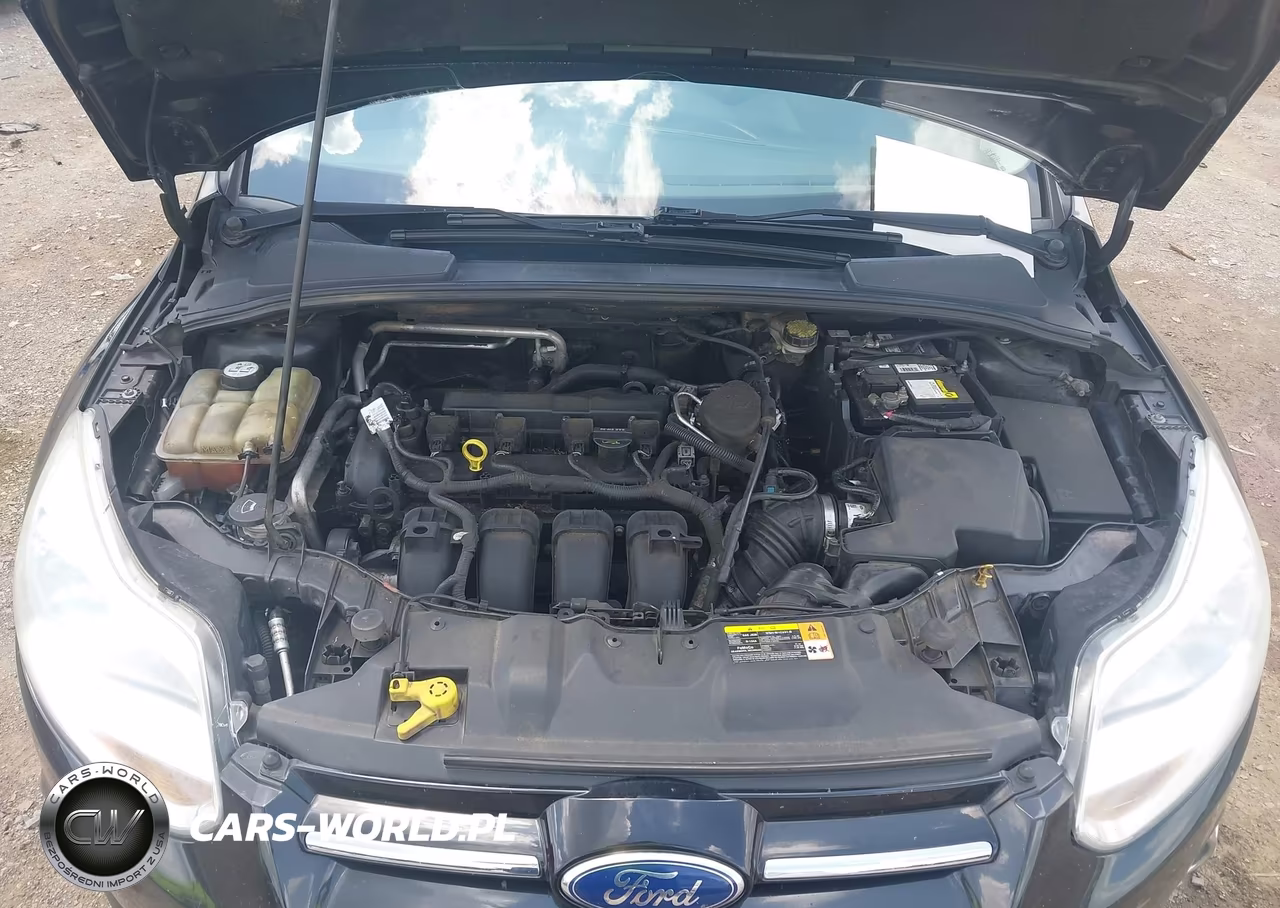 2012 Ford Focus Sel VIN:1FAHP3H21CL131632 - 10