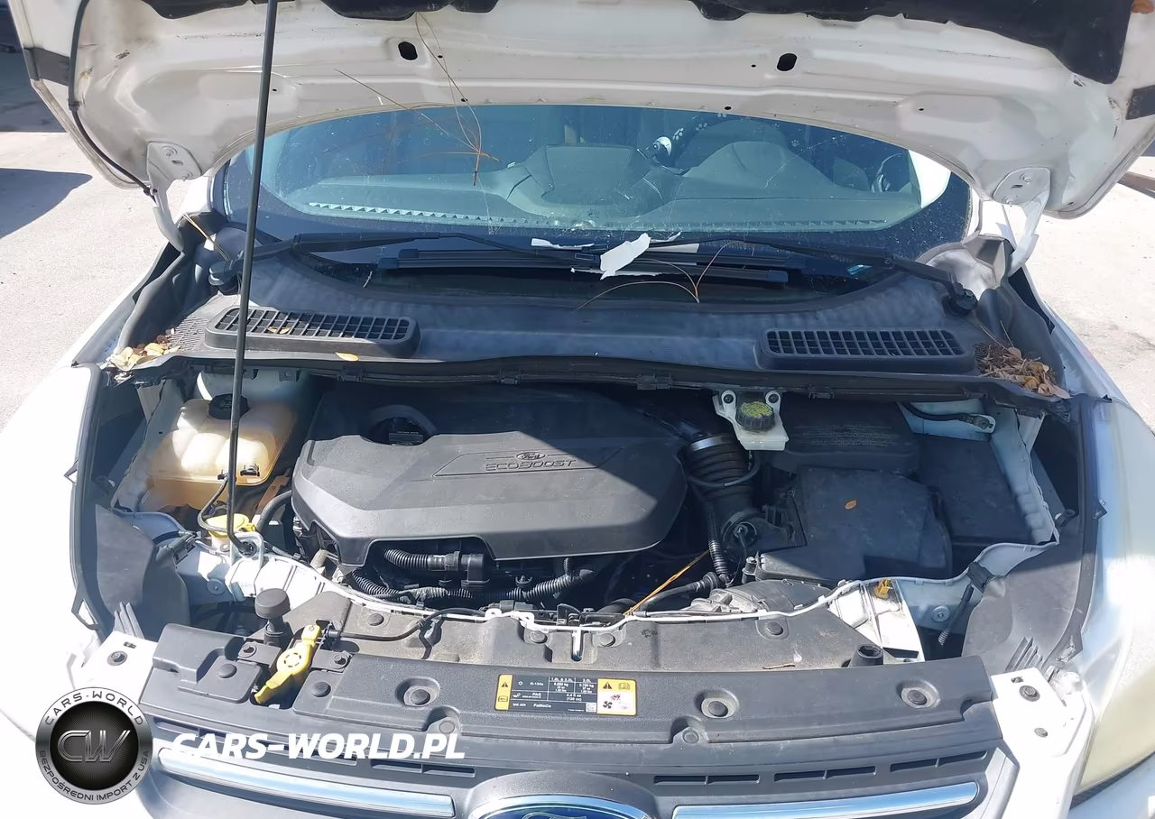 2015 Ford Escape Se VIN:1FMCU0GX5FUA56999 - 10