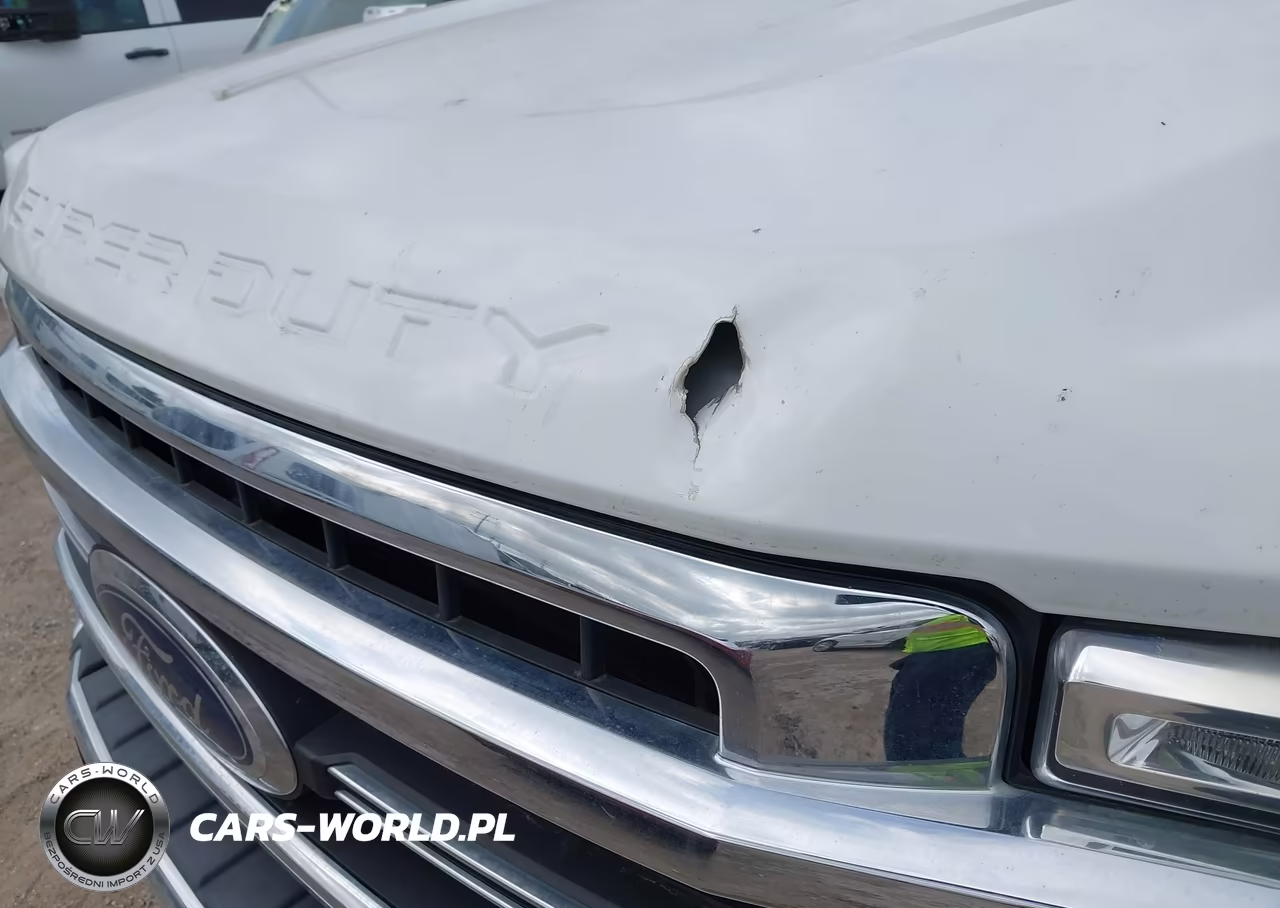 2021 Ford F-250 Xl VIN:1FTBF2AN4MED39558 - 6