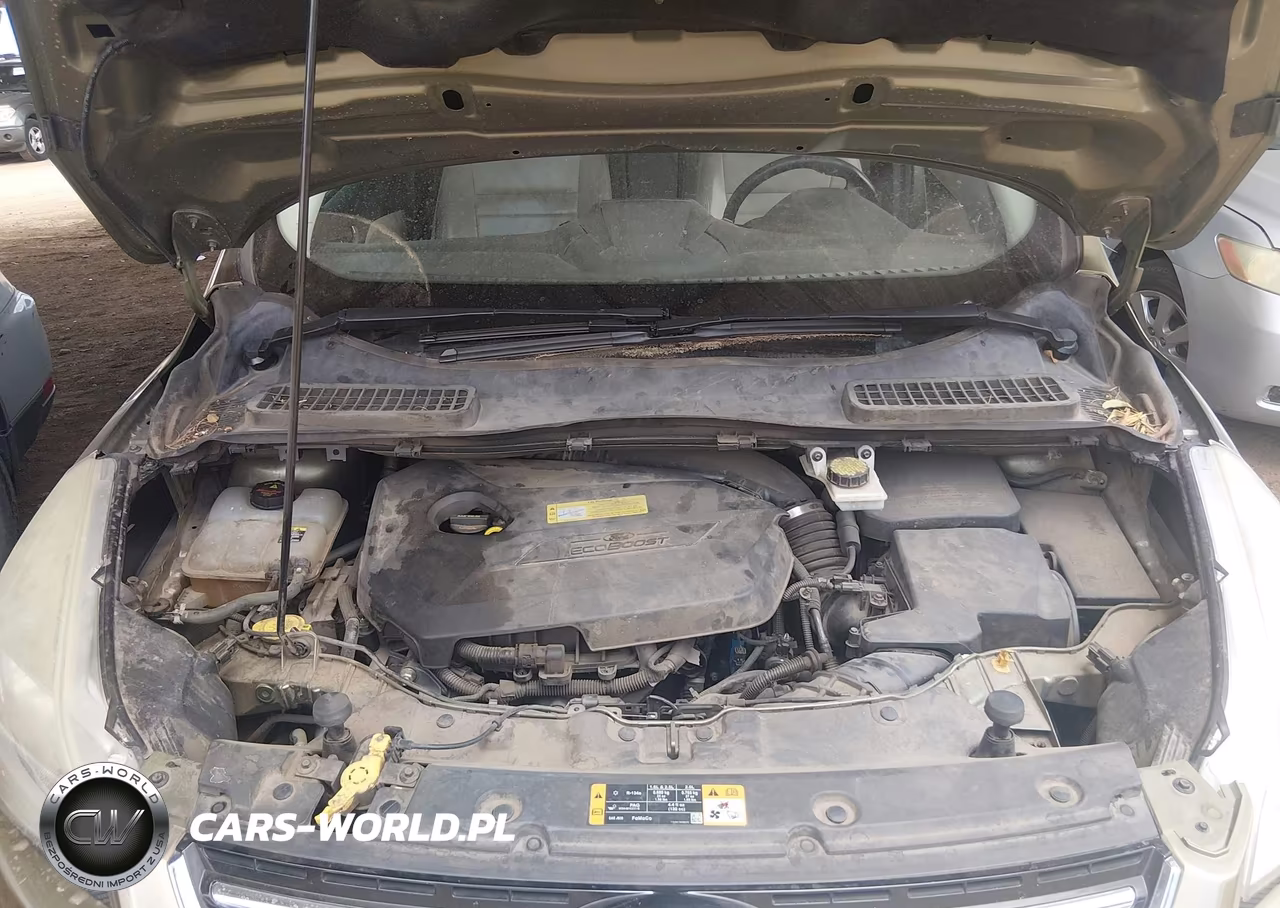 2013 Ford Escape Sel VIN:1FMCU0HX1DUB55752 - 10