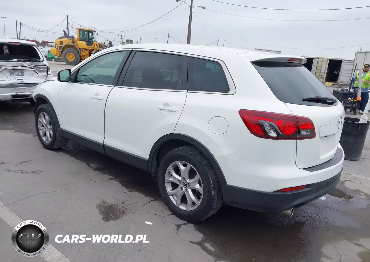 2013 Mazda Cx-9 Touring VIN:JM3TB2CV2D0412816 - 3