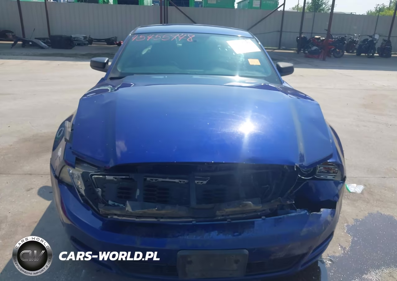 2013 Ford Mustang V6-V6 Premium VIN:1ZVBP8AM0D5206087 - 12