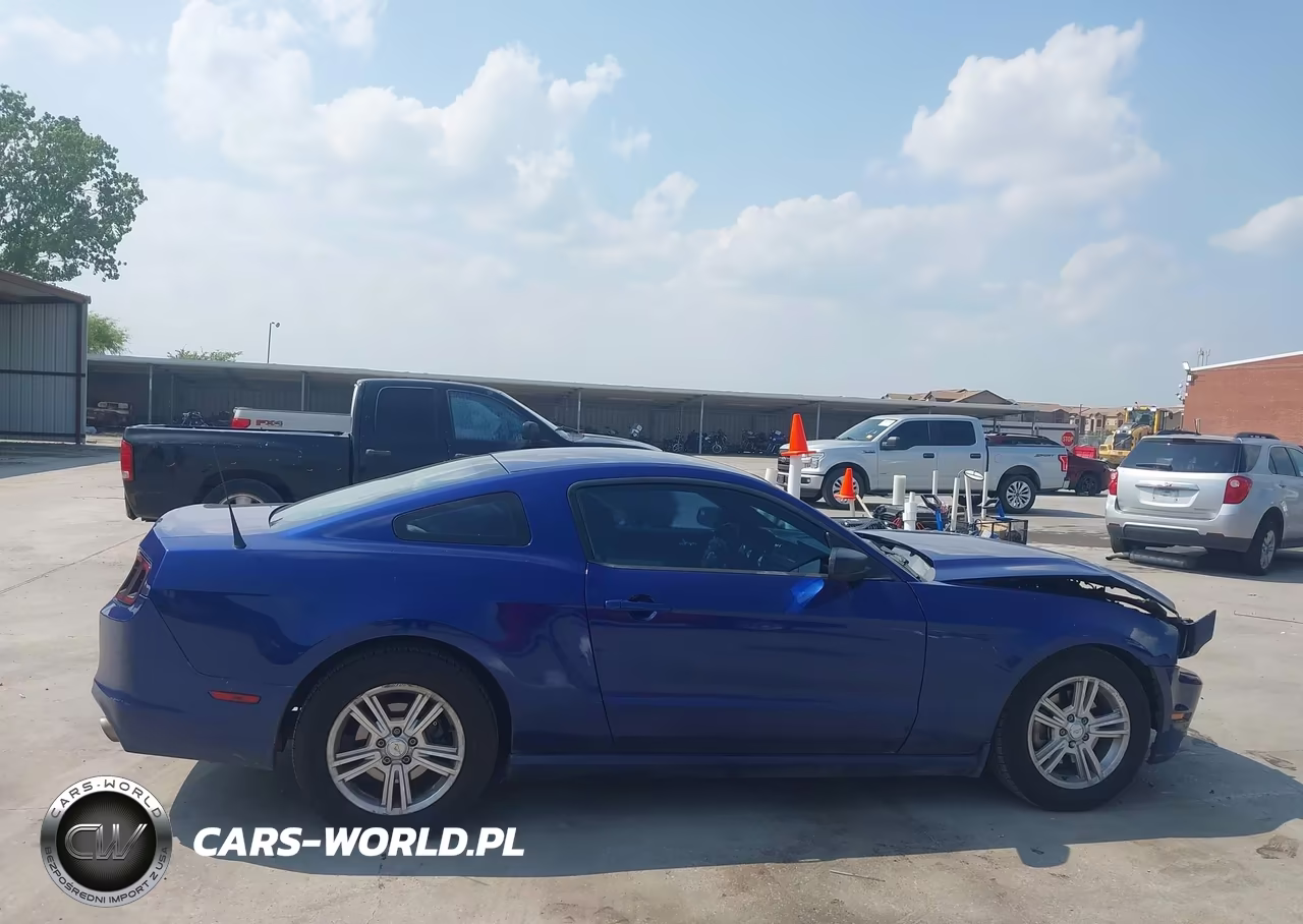 2013 Ford Mustang V6-V6 Premium VIN:1ZVBP8AM0D5206087 - 13