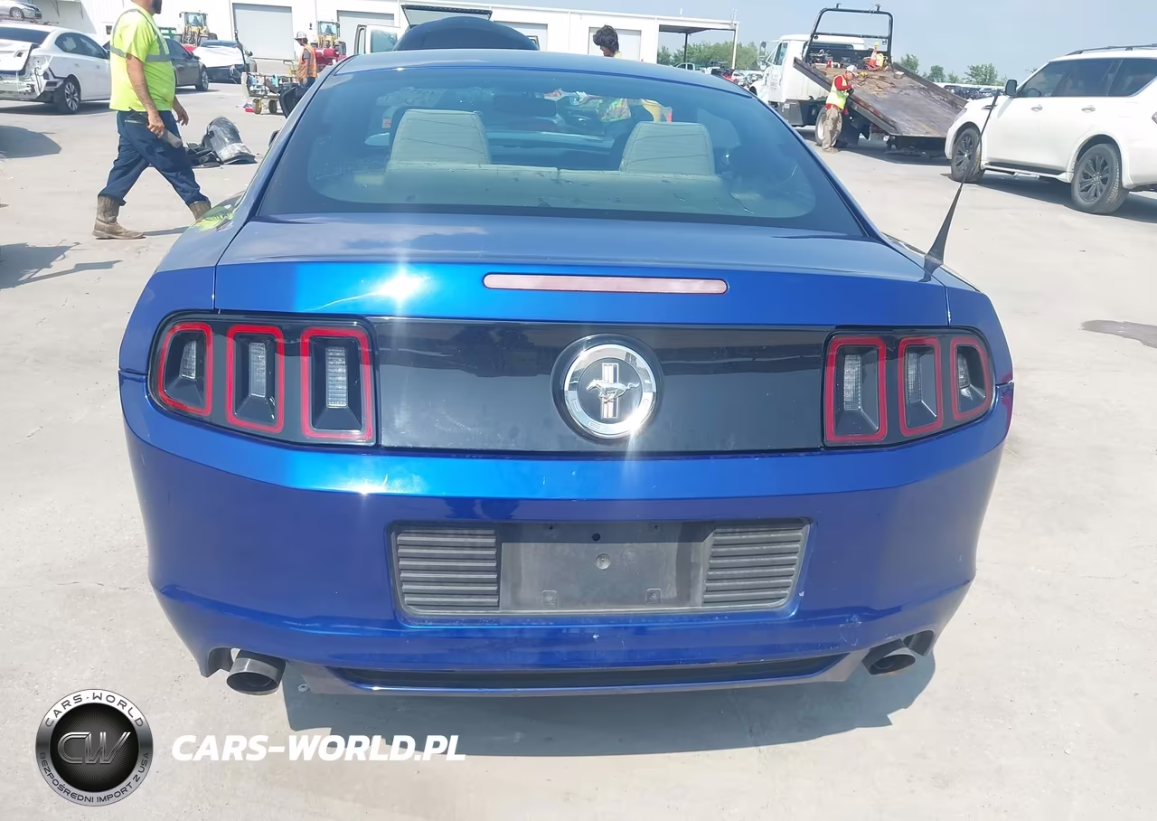 2013 Ford Mustang V6-V6 Premium VIN:1ZVBP8AM0D5206087 - 16