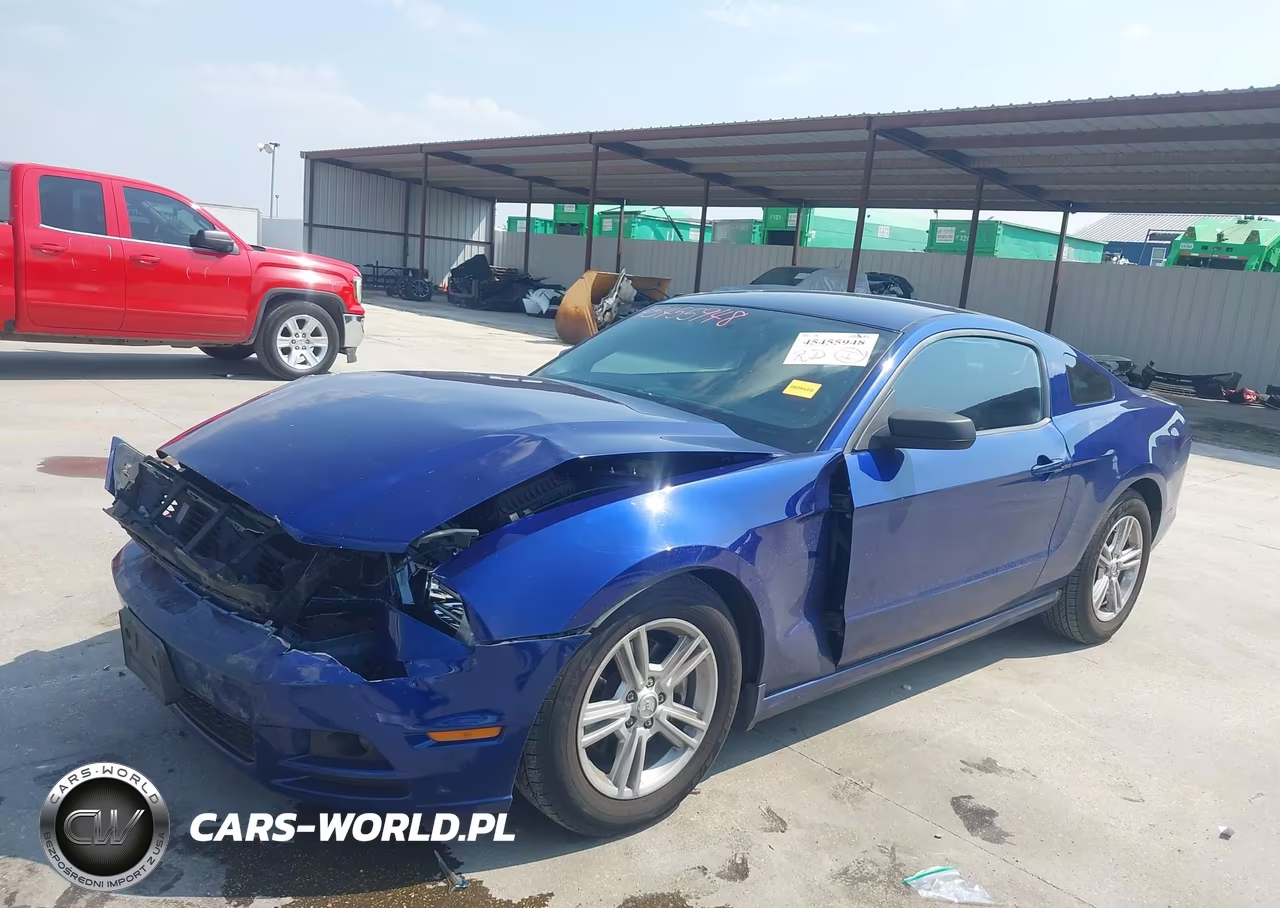 2013 Ford Mustang V6-V6 Premium VIN:1ZVBP8AM0D5206087 - 2