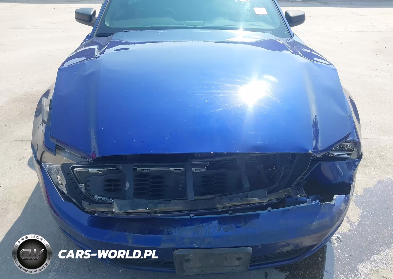 2013 Ford Mustang V6-V6 Premium VIN:1ZVBP8AM0D5206087 - 6