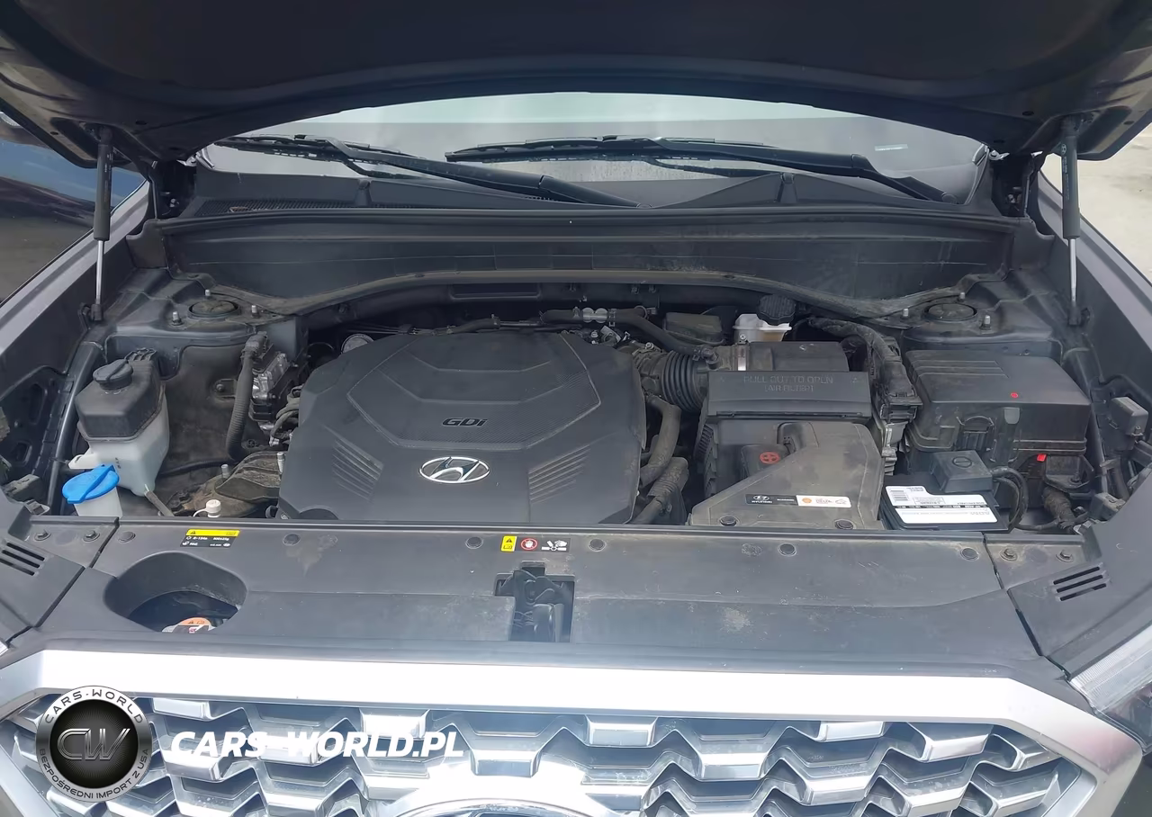 2020 Hyundai Palisade Sel VIN:KM8R34HE3LU088881 - 10