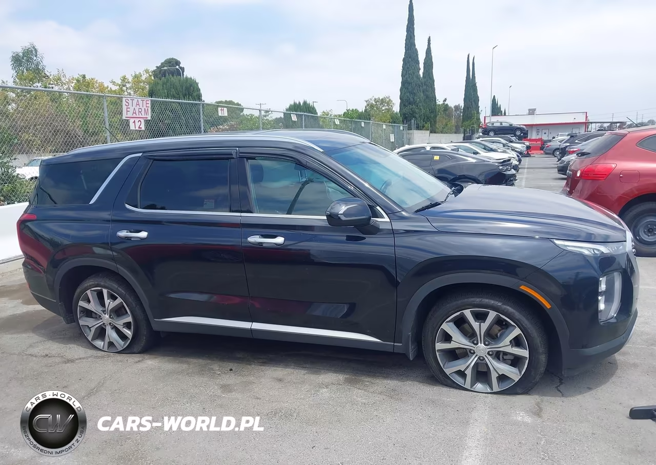 2020 Hyundai Palisade Sel VIN:KM8R34HE3LU088881 - 13