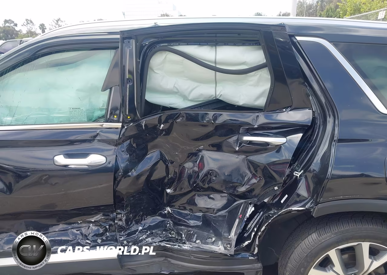 2020 Hyundai Palisade Sel VIN:KM8R34HE3LU088881 - 6