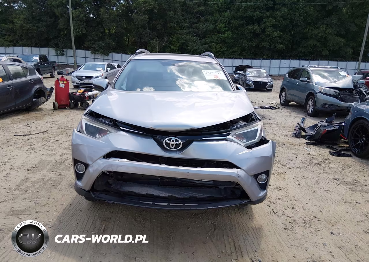 2016 Toyota Rav4 Xle VIN:2T3WFREV6GW246915 - 12