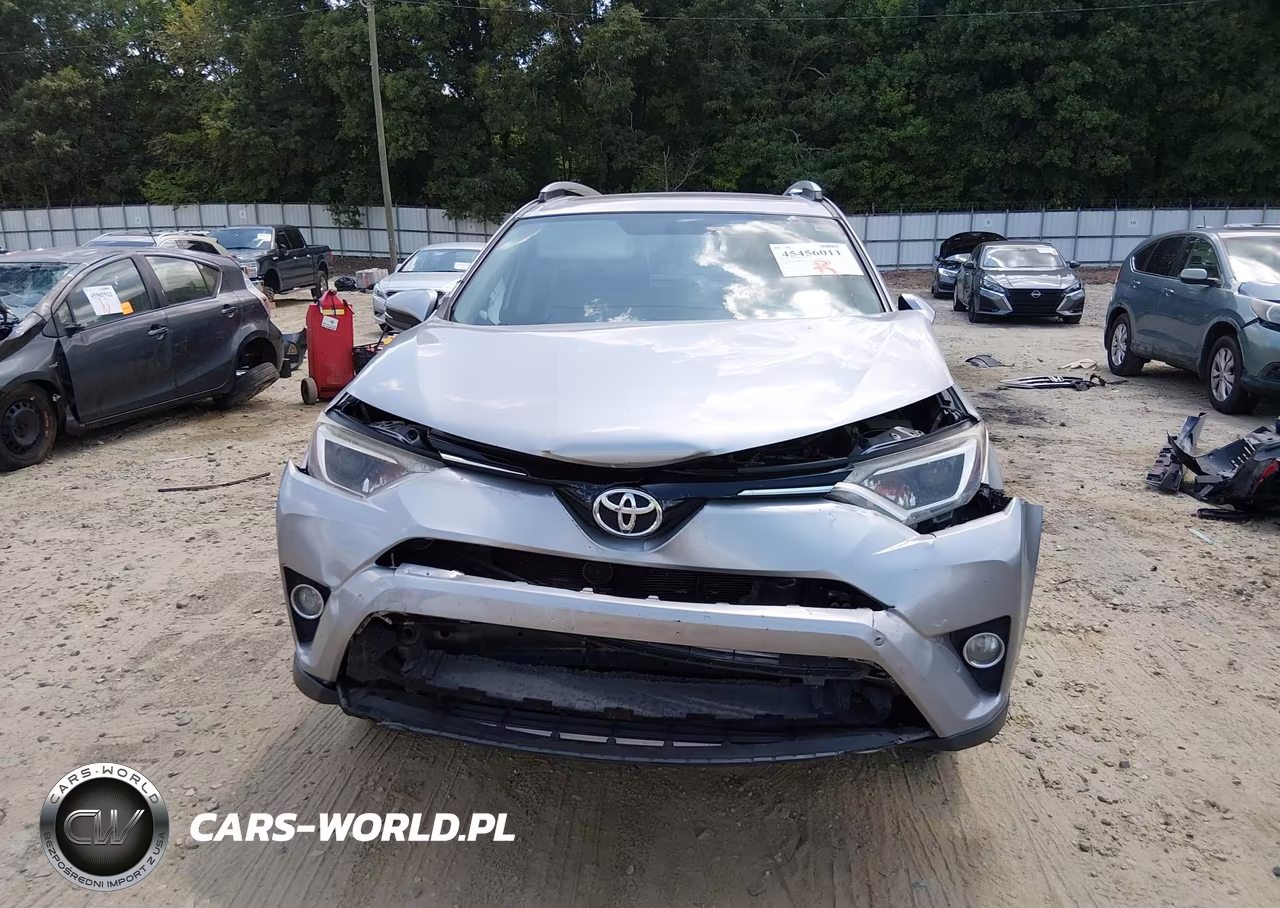 2016 Toyota Rav4 Xle VIN:2T3WFREV6GW246915 - 6