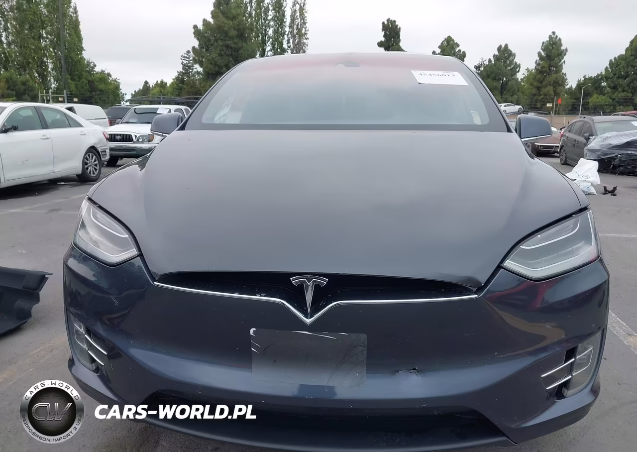 2016 Tesla Model X 60D-P100D-P90D VIN:5YJXCAE49GF020346 - 12