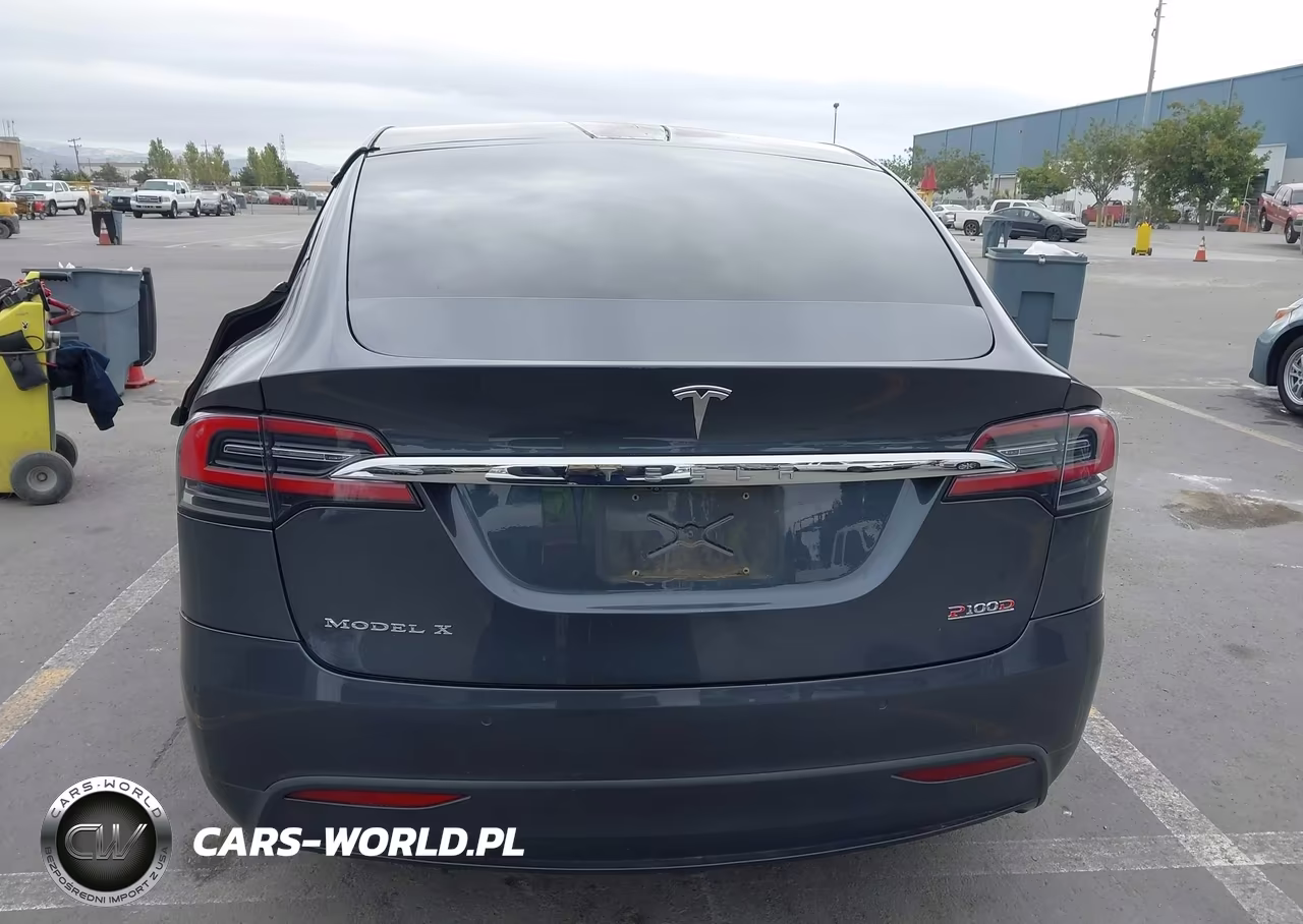2016 Tesla Model X 60D-P100D-P90D VIN:5YJXCAE49GF020346 - 16