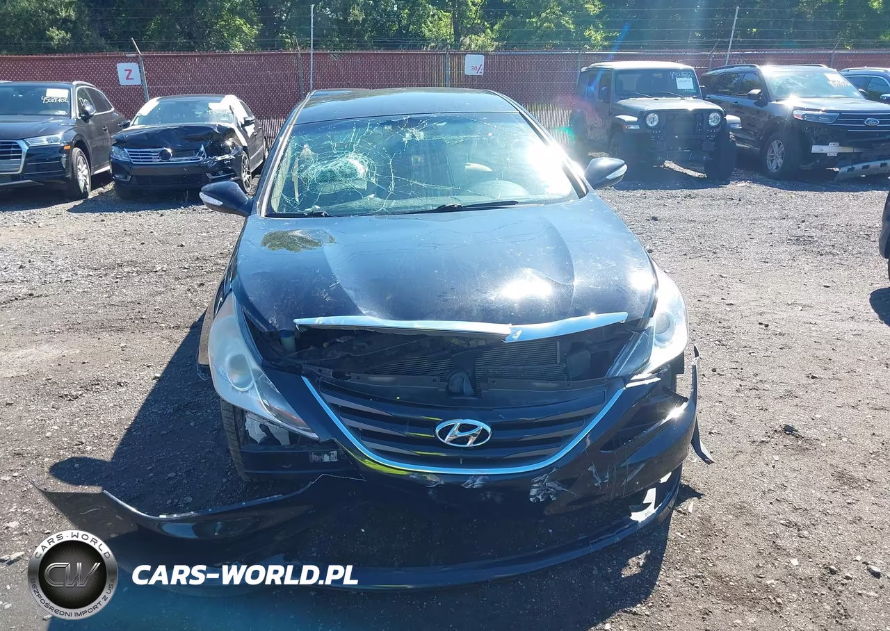 2014 Hyundai Sonata Gls VIN:5NPEB4AC9EH813945 - 12