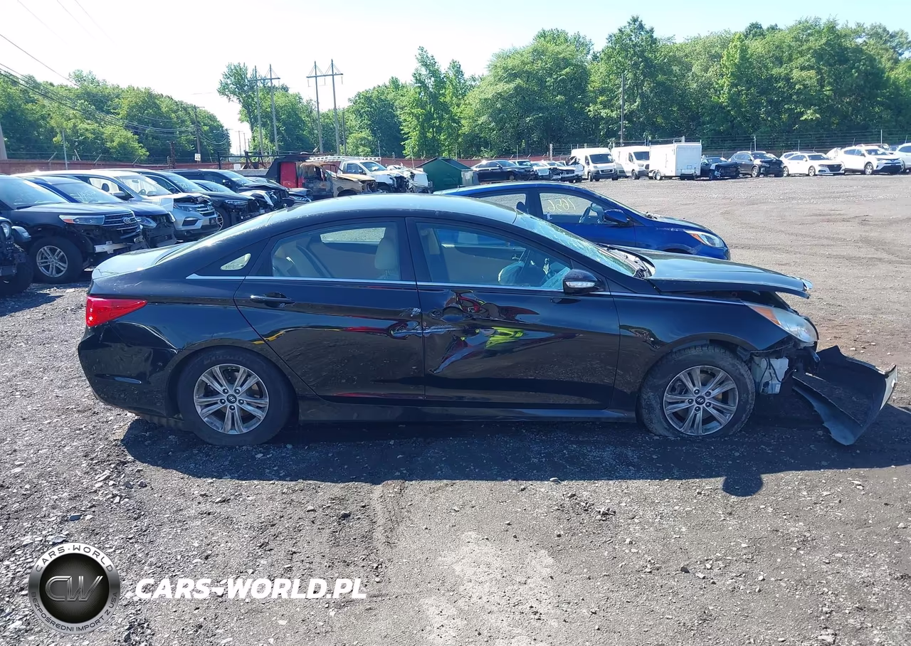 2014 Hyundai Sonata Gls VIN:5NPEB4AC9EH813945 - 13