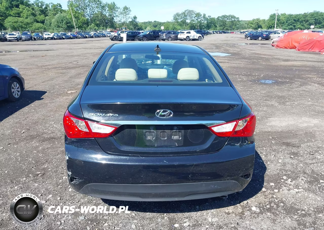 2014 Hyundai Sonata Gls VIN:5NPEB4AC9EH813945 - 16