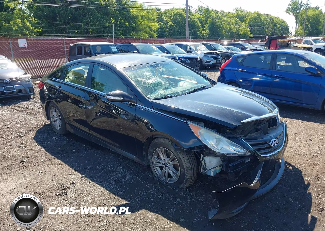 2014 Hyundai Sonata Gls VIN:5NPEB4AC9EH813945 - 17