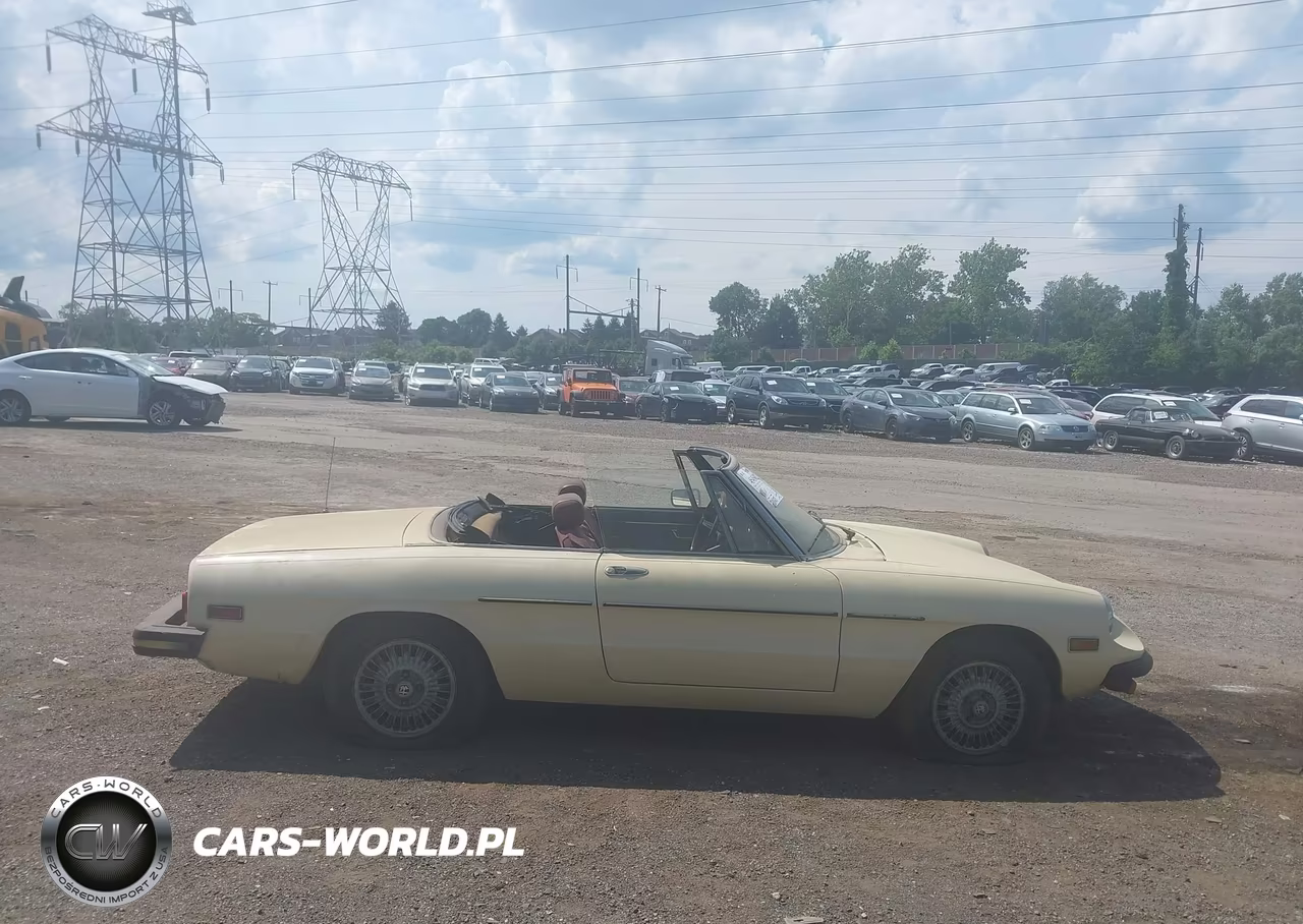 1978 Alfa Romeo Spider Convertible VIN:AR115410002059 - 13