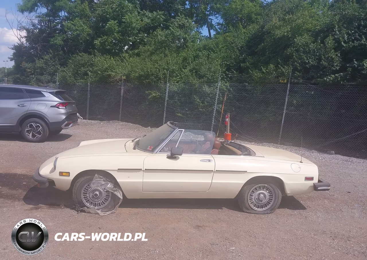 1978 Alfa Romeo Spider Convertible VIN:AR115410002059 - 14