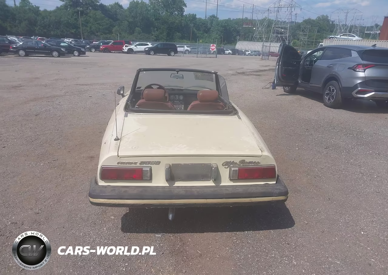 1978 Alfa Romeo Spider Convertible VIN:AR115410002059 - 16